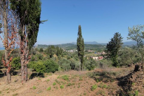 32000m² Land in Corfu, Greece No. 58614 13