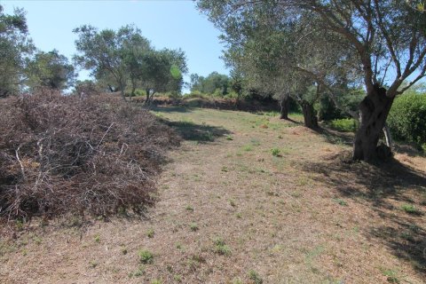 32000m² Land in Corfu, Greece No. 58614 7