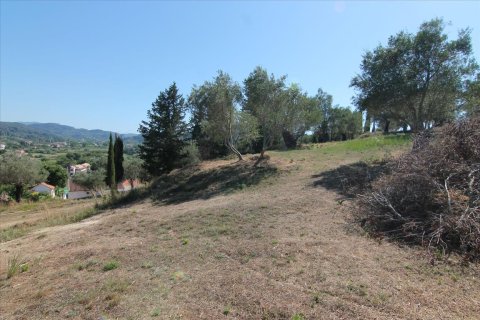 32000m² Land in Corfu, Greece No. 58614 6