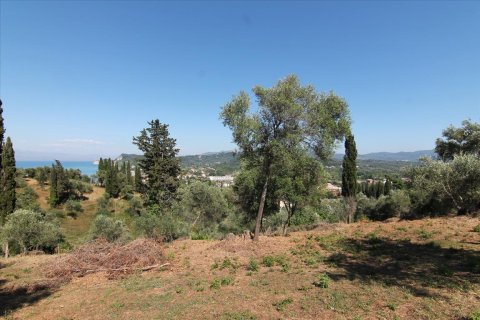 32000m² Land à Corfu, Greece No. 58614 9