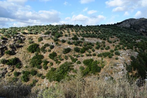 43000m² Land in Rethymno, Greece No. 58617 1