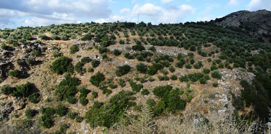 43000m² Land in Rethymno, Greece No. 58617