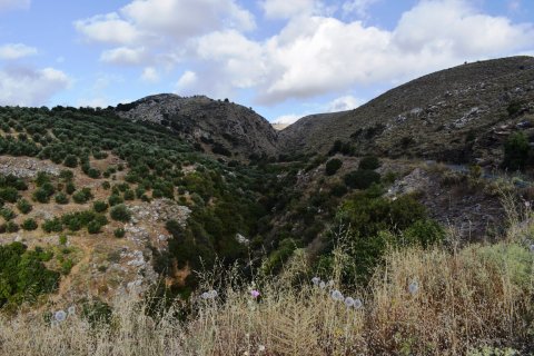 43000m² Land in Rethymno, Greece No. 58617 3