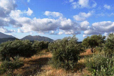 43000m² Land à Rethymno, Greece No. 58617 4