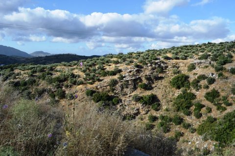 43000m² Land in Rethymno, Greece No. 58617 2