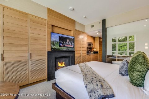 Condo  in Snowmass Village, USA No. 72476 4