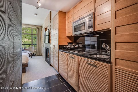 Condo  in Snowmass Village, USA No. 72476 5