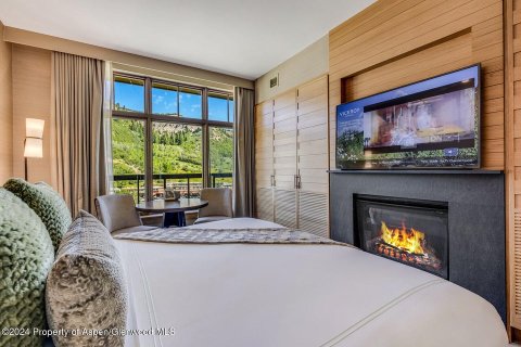 Condo  in Snowmass Village, USA No. 72476 1