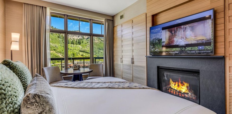 Studio in Condo  in Snowmass Village, USA No. 72476