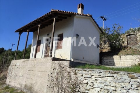 185m² Maisonette in Magnesia, Greece No. 24272 15