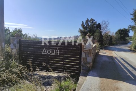 185m² Maisonette in Magnesia, Greece No. 24272 7