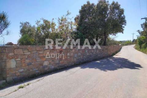 185m² Maisonette in Magnesia, Greece No. 24272 4