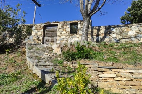 185m² Maisonette in Magnesia, Greece No. 24272 13