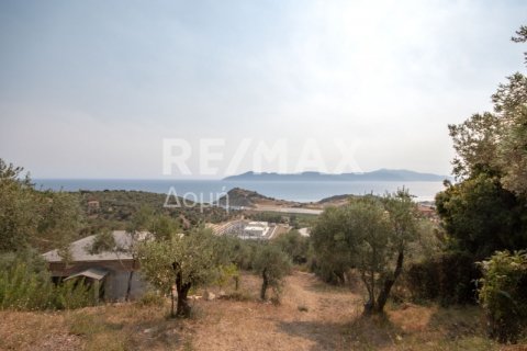 3 bedrooms House in Skiathos, Greece No. 24263 19