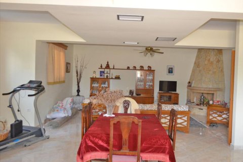 5 dormitorios Commercial property en Peloponnese, Greece No. 49090 13