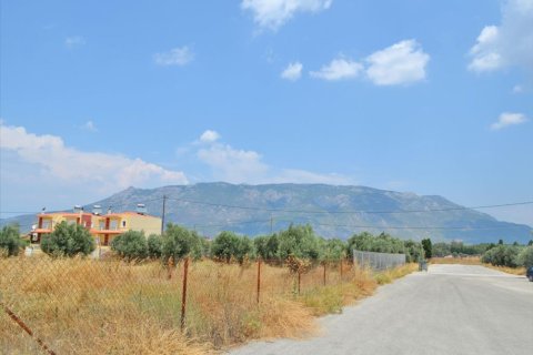 5 dormitorios Commercial property en Peloponnese, Greece No. 49090 1