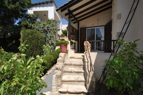 4 bedrooms Villa in Tala, Cyprus No. 39120 20