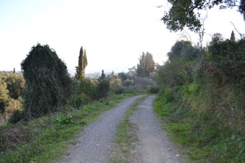 13500m² Land in Corfu, Greece No. 59817 8