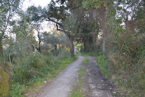 13500m² Land in Corfu, Greece No. 59817 5