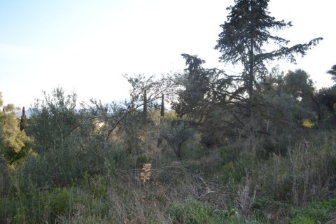 13500m² Land à Corfu, Greece No. 59817 4