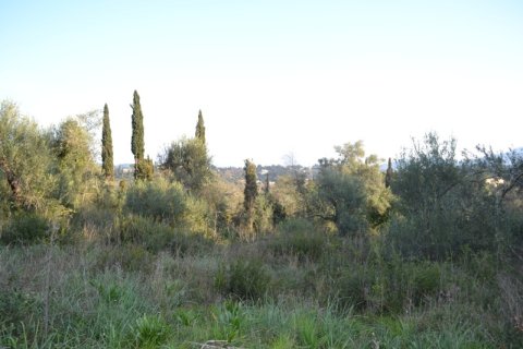 13500m² Land in Corfu, Greece No. 59817 3