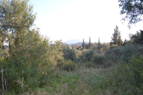 13500m² Land in Corfu, Greece No. 59817 7