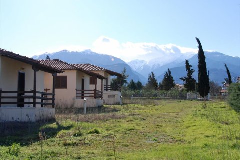 4586m² Land in Litochoro, Greece No. 59814 3