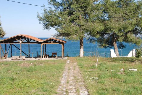 4586m² Land in Litochoro, Greece No. 59814 4