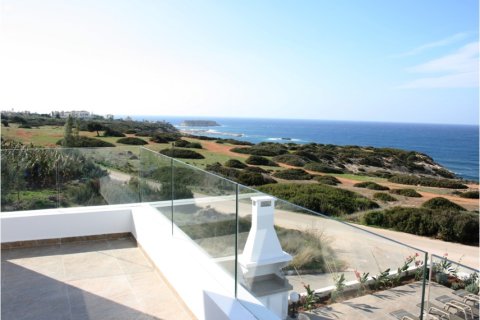 Studio Villa in Paphos, Cyprus No. 49595 7