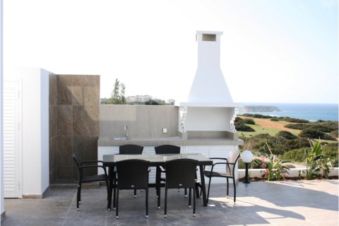 Studio Villa in Paphos, Cyprus No. 49595 5