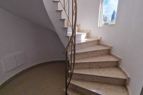 3 bedrooms Villa in Pegeia, Cyprus No. 39605 13