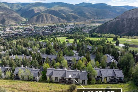 3 chambres Townhouse à Beaver Creek, USA No. 62102 23