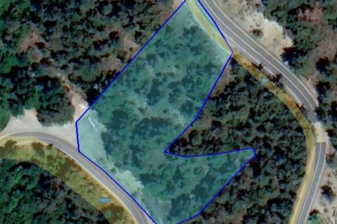 6320m² Land à Pano Platres, Cyprus No. 36172 1