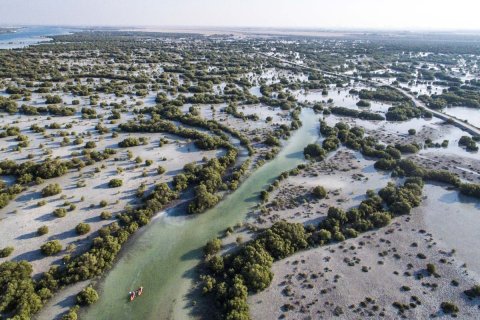 Таунхаус с 3 спальнями в Абу-Даби, ОАЭ №44265 14