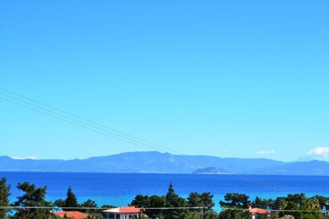 4869m² Land in Chalkidiki, Greece No. 59777 1