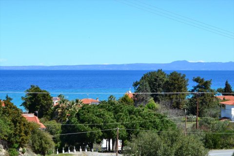 4869m² Land in Chalkidiki, Greece No. 59777 2