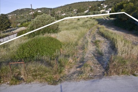 6464m² Land in Loutraki, Greece No. 59628 3