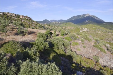 17889m² Land à Loutraki, Greece No. 59627 9