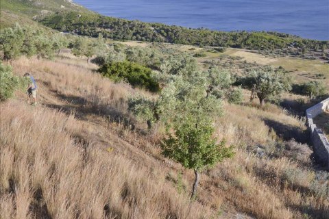 17889m² Land à Loutraki, Greece No. 59627 4