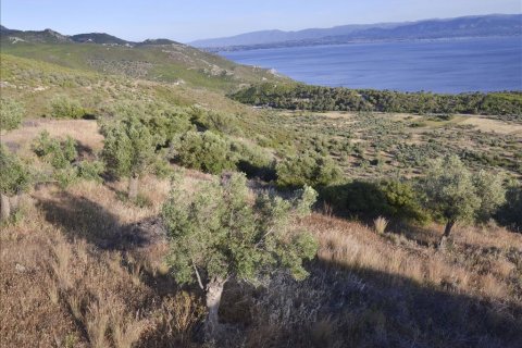 17889m² Land in Loutraki, Greece No. 59627 1