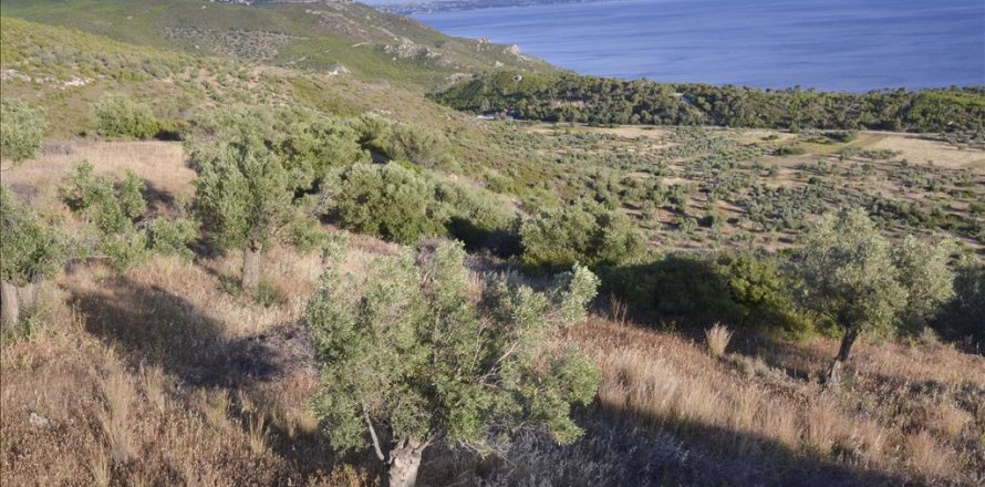 17889m² Land in Loutraki, Greece No. 59627