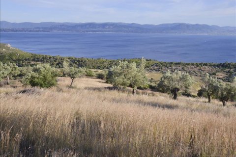 17889m² Land en Loutraki, Greece No. 59627 2