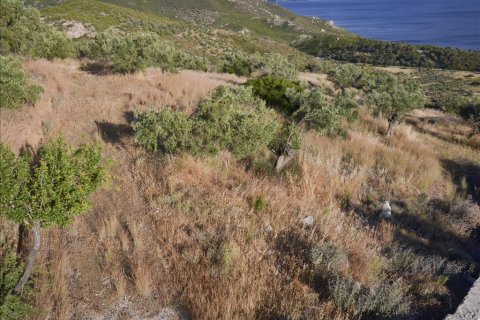 17889m² Land in Loutraki, Greece No. 59627 3