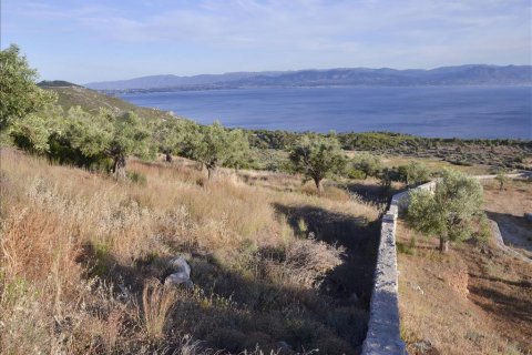 17889m² Land in Loutraki, Greece No. 59627 8