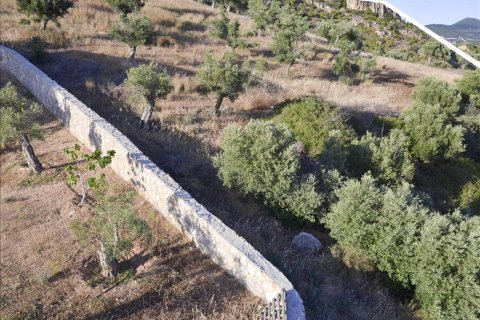 17889m² Land à Loutraki, Greece No. 59627 10