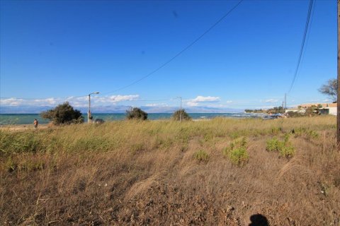 3000m² Land en Corfu, Greece No. 58511 5