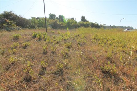 3000m² Land in Corfu, Greece No. 58511 3