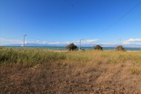 3000m² Land en Corfu, Greece No. 58511 4