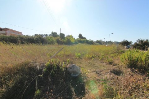 3000m² Land in Corfu, Greece No. 58511 2