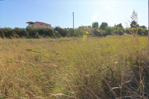 3000m² Land in Corfu, Greece No. 58511 1